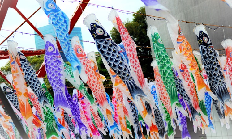 Nhắc đến Nhật Bản bạn sẽ nhớ đến những hình ảnh nổi bật nào?