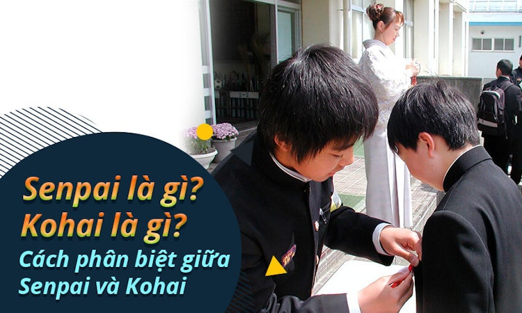 Senpai là gì? Kohai là gì? Cách phân biệt giữa Senpai và Kohai