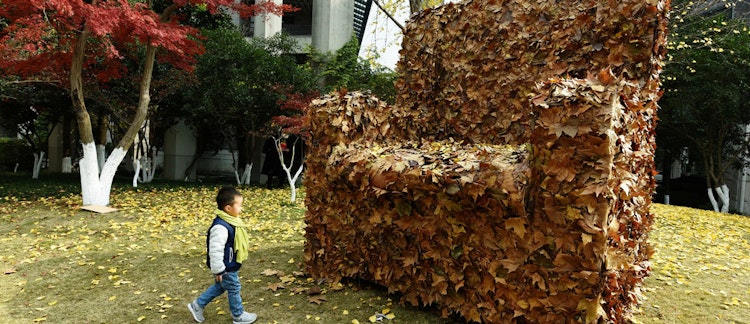 5 Công ty thân thiện với môi trường đang làm thay đổi thế giới