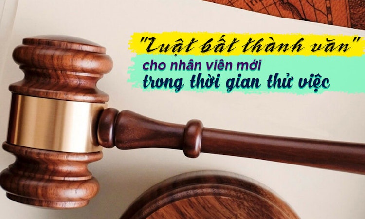 “Luật bất thành văn” cho nhân viên mới trong thời gian thử việc