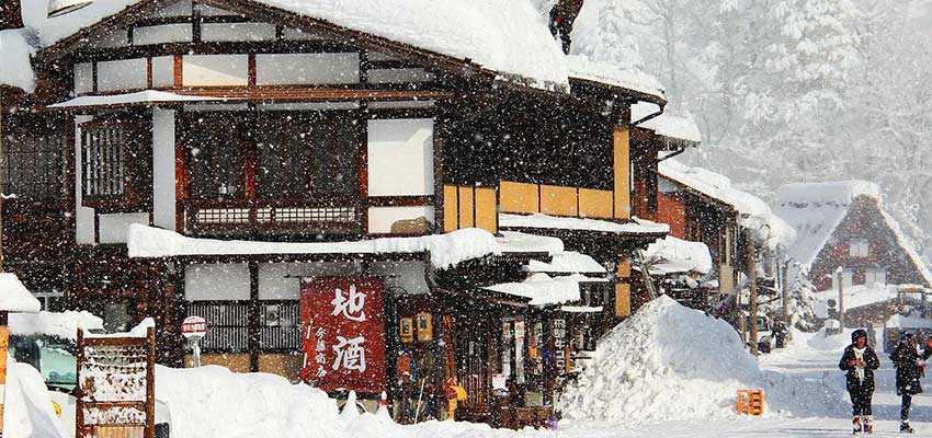 Mùa đông Nhật Bản đang đến làm thế nào để tồn tại