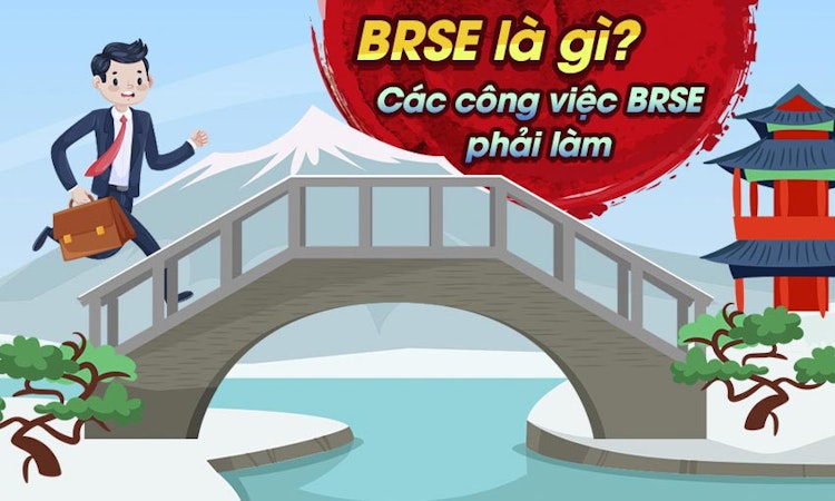 BRSE là gì? Các công việc BRSE phải làm