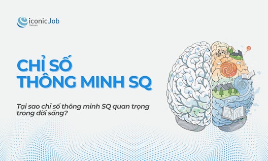 Chỉ Số Thông Minh SQ Là Gì? Ý Nghĩa Của SQ Trong Đời Sống