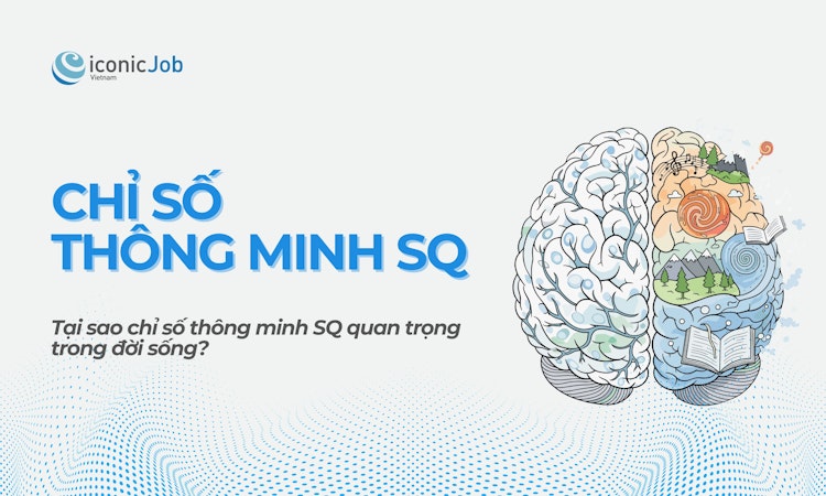 Chỉ Số Thông Minh SQ Là Gì? Ý Nghĩa Của SQ Trong Đời Sống