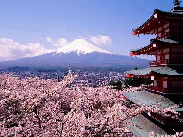 Cùng Iconic khám phá văn hóa người Nhật (phần 1)