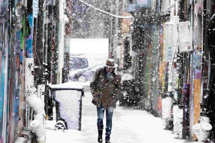 Mùa đông Nhật Bản đang đến làm thế nào để tồn tại