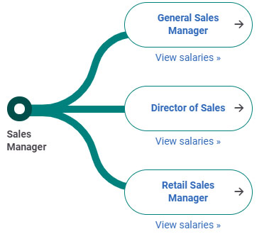 Sales Manager là gì
