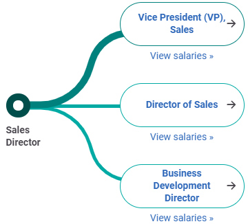 con đường sự nghiệp Sales Director